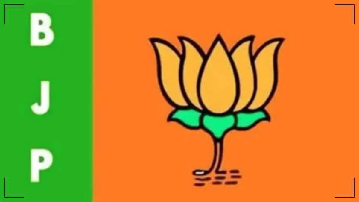फाइल फाइल
