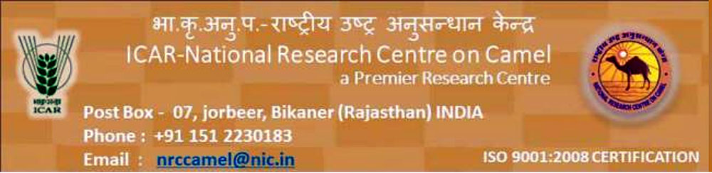 रेगिस्तानी जहाज ऊंटों पर गहन चर्चा के साथ होगी दौड़ व सजावट प्रतियोगिताएं रेगिस्तानी जहाज ऊंटों पर गहन चर्चा के साथ होगी दौड़ व सजावट प्रतियोगिताएं