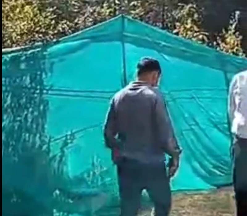 नर हाथी का शव मिला नर हाथी का शव मिला