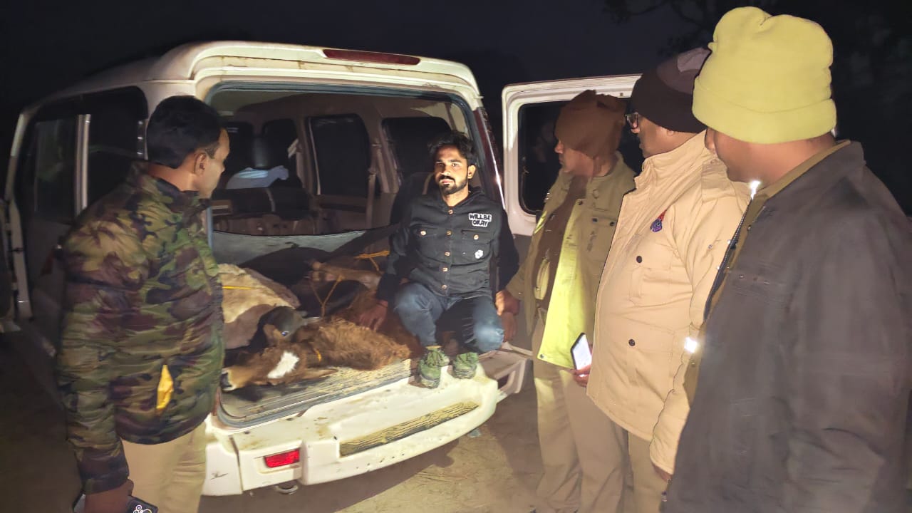पुलिस मुठभेड़ में एक गो तस्कर को लगी गोली ,दो और साथी गिरफ्तार पुलिस मुठभेड़ में एक गो तस्कर को लगी गोली ,दो और साथी गिरफ्तार