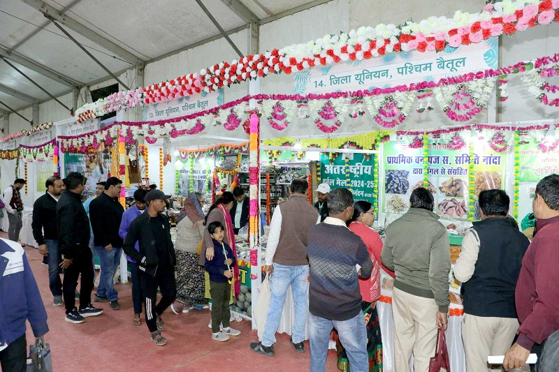 अंतरराष्ट्रीय वन मेला अंतरराष्ट्रीय वन मेला