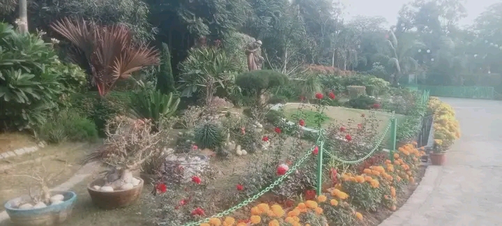 महागिरजा का दृष्य महागिरजा का दृष्य
