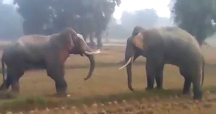 पुराना ऊाेटाे पुराना ऊाेटाे