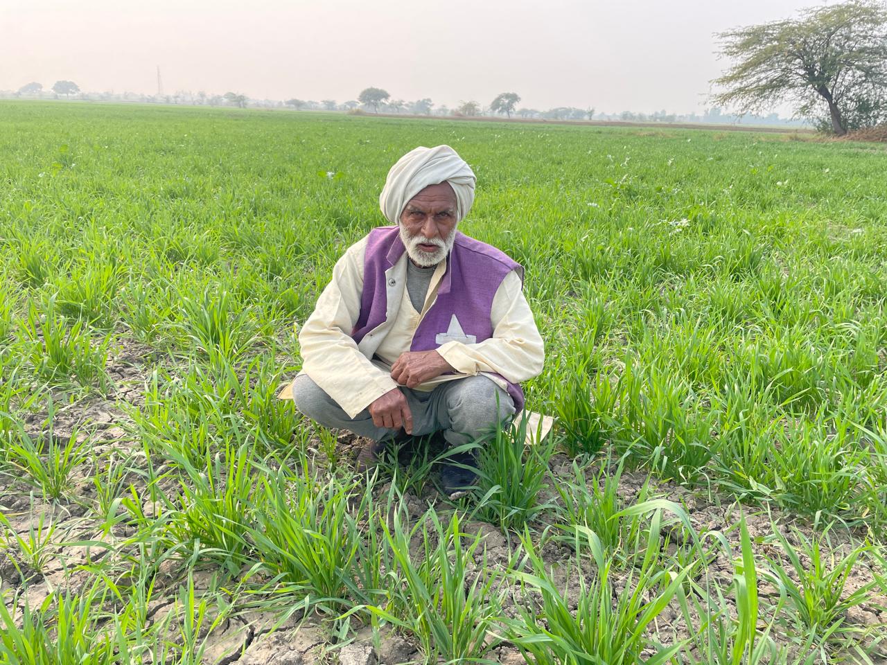 खेत में बैठा किसान खेत में बैठा किसान