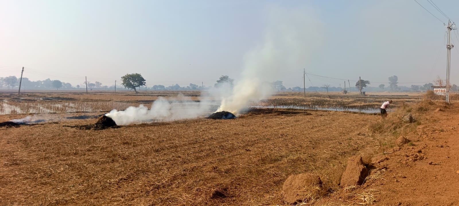 शहर से लगे हुए ग्राम खरेंगा के खेत में इस तरह पराली जला रहे किसान। शहर से लगे हुए ग्राम खरेंगा के खेत में इस तरह पराली जला रहे किसान।