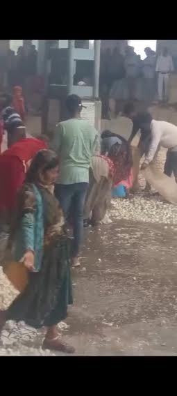 मंदसौर में तेज हवाओं के साथ हुई बारिश: मंदसौर में तेज हवाओं के साथ हुई बारिश: