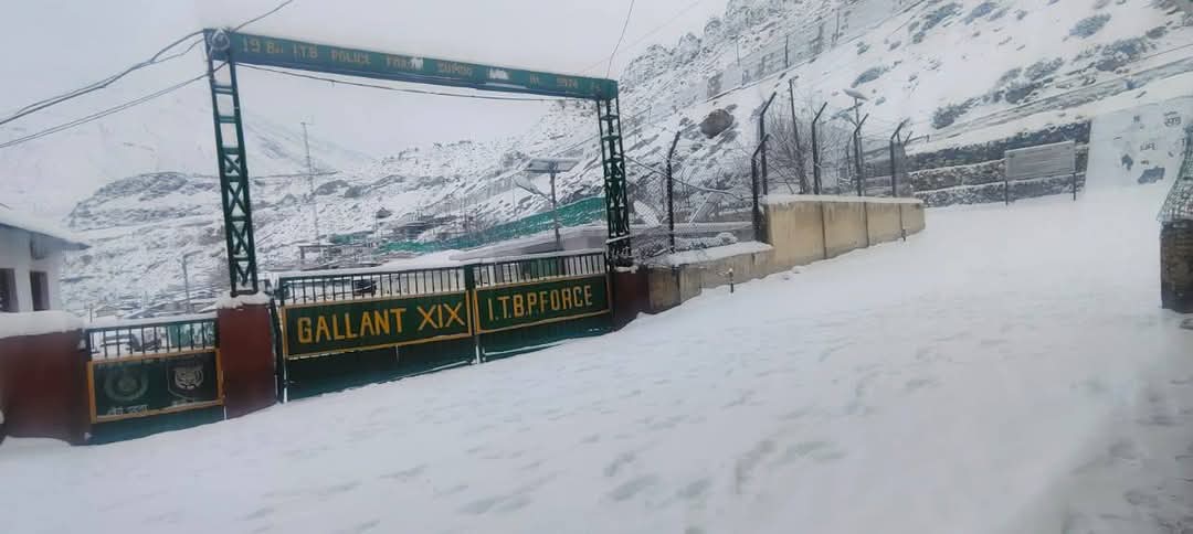 ताज़ा बर्फ़बारी का दृश्य ताज़ा बर्फ़बारी का दृश्य