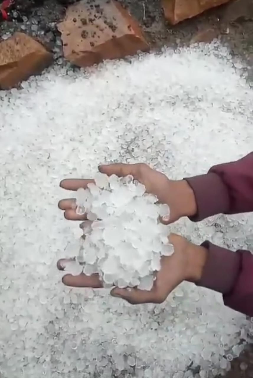 कराहल में एकलव्य आश्रम के पास सडक पर बिछी ओलों की चादर। कराहल में एकलव्य आश्रम के पास सडक पर बिछी ओलों की चादर।
