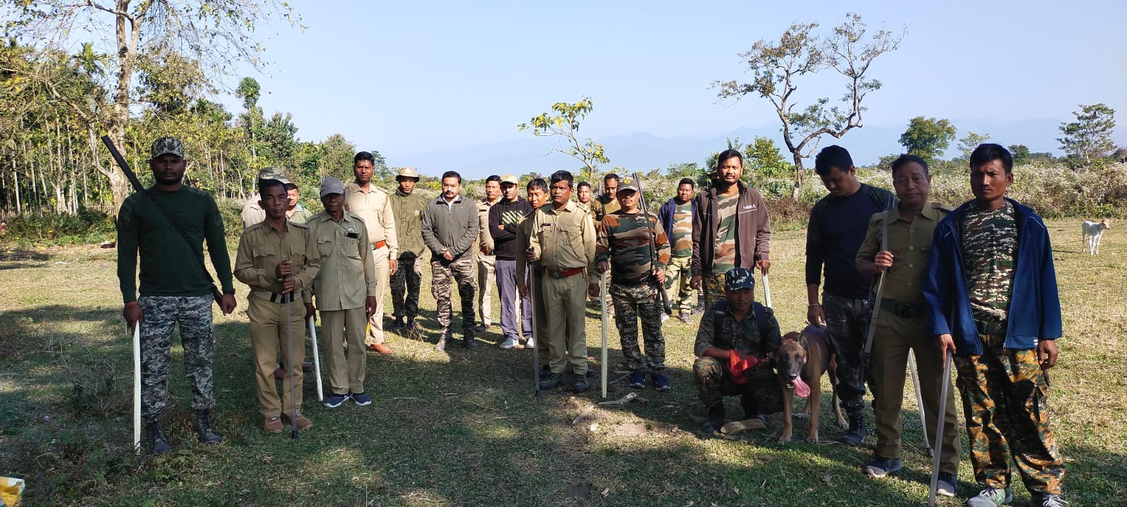 वन विभाग का विशेष अभियान वन विभाग का विशेष अभियान