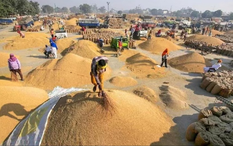 समर्थन मूल्य पर धान की खरीदी (फाइल फोटो) समर्थन मूल्य पर धान की खरीदी (फाइल फोटो)