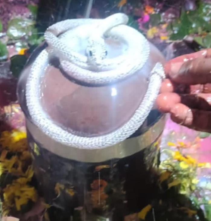 चांदी का सर्प हार