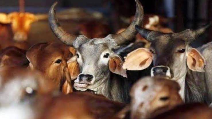 प्रतीकात्मक प्रतीकात्मक