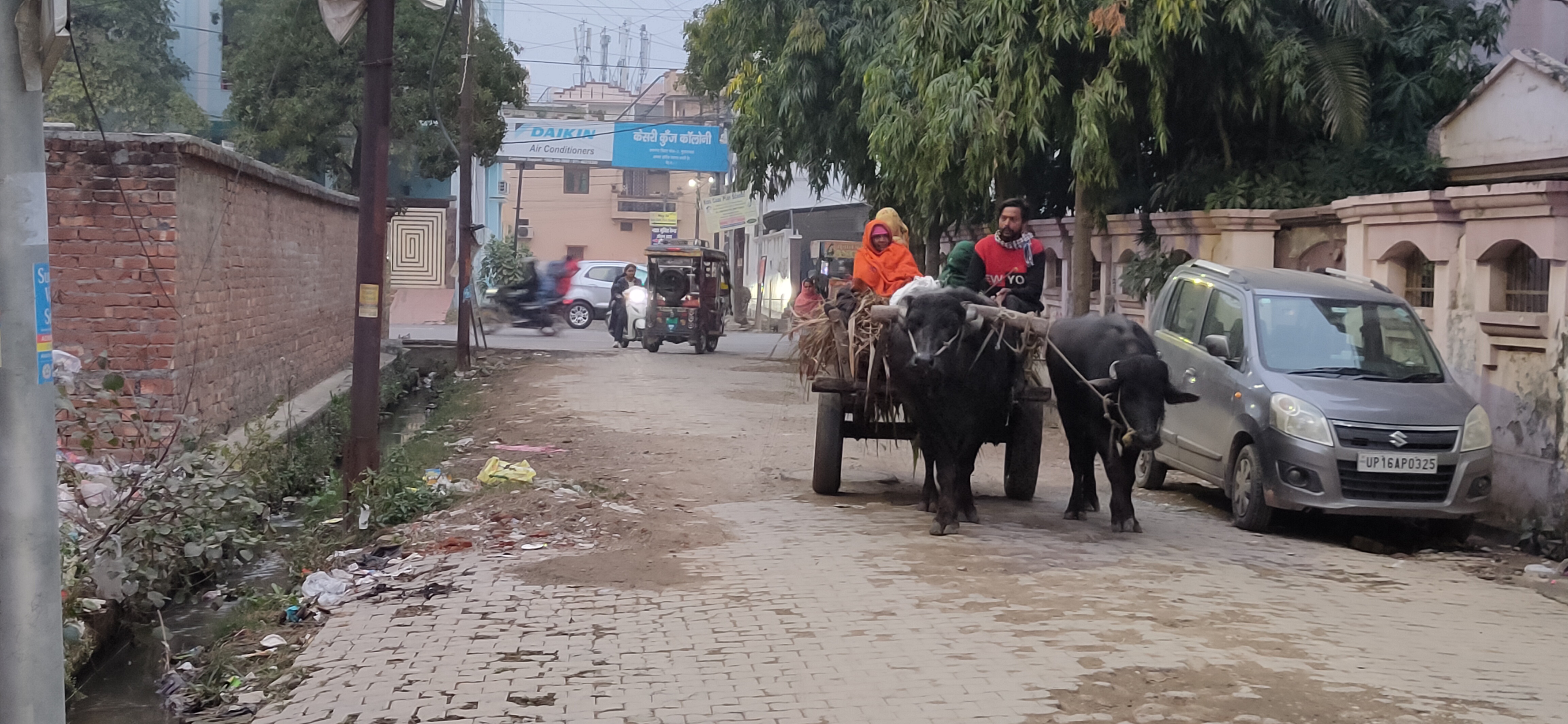मंगलवार शाम को ठंड के दौरान एमडीए में बैलगाड़ी पर गुजरात परिवार।