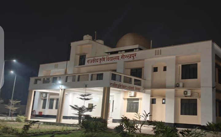 9.88 करोड़ रुपये की लागत से बना है प्रशासनिक भवन, छात्रावास के निर्माण पर आई है 9.08 करोड़ रुपये की लागत* 9.88 करोड़ रुपये की लागत से बना है प्रशासनिक भवन, छात्रावास के निर्माण पर आई है 9.08 करोड़ रुपये की लागत*