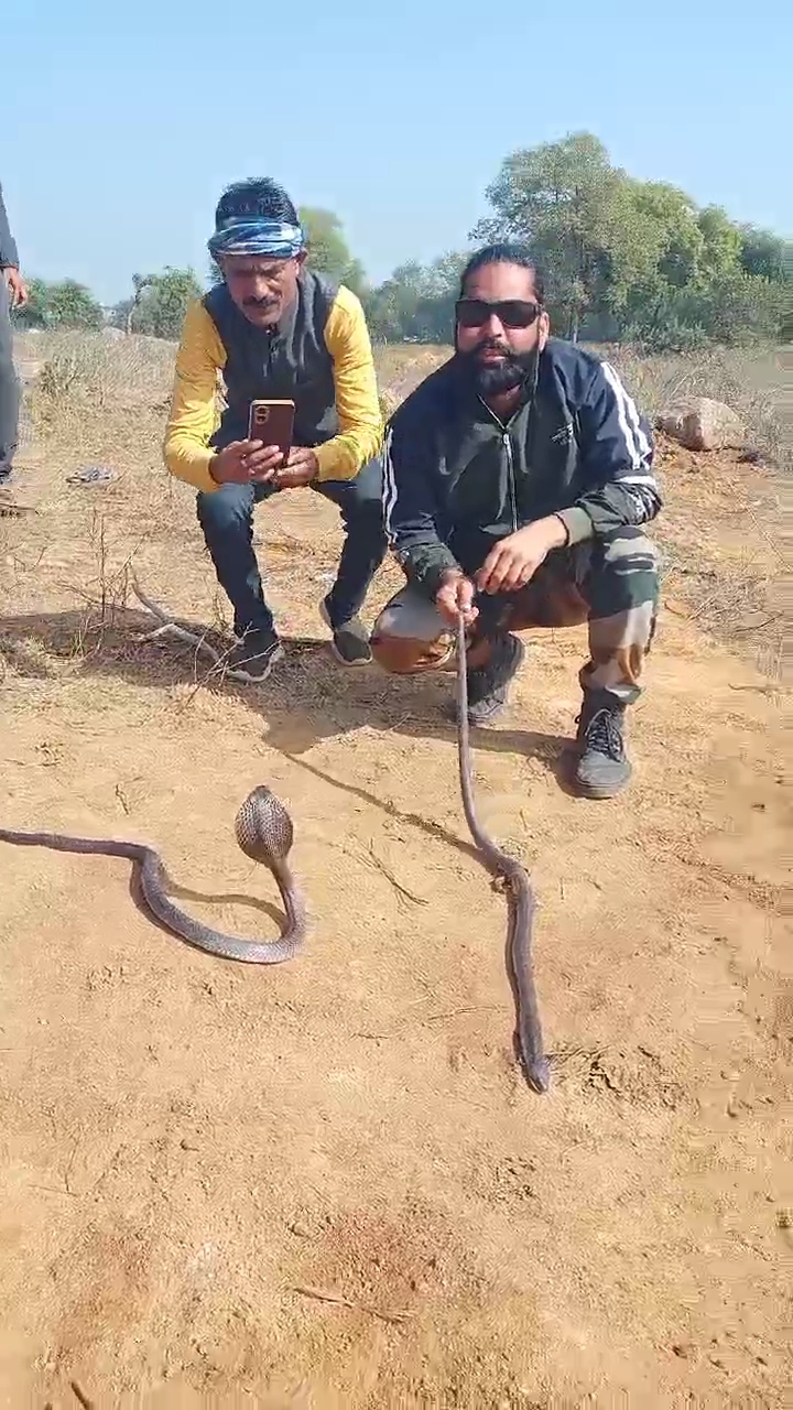 मौत के बाद गमगीन नजर आई नागिन मौत के बाद गमगीन नजर आई नागिन