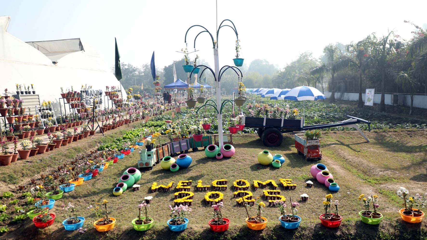 पुष्प उत्सव में रखे गए फूल व पौधे। पुष्प उत्सव में रखे गए फूल व पौधे।
