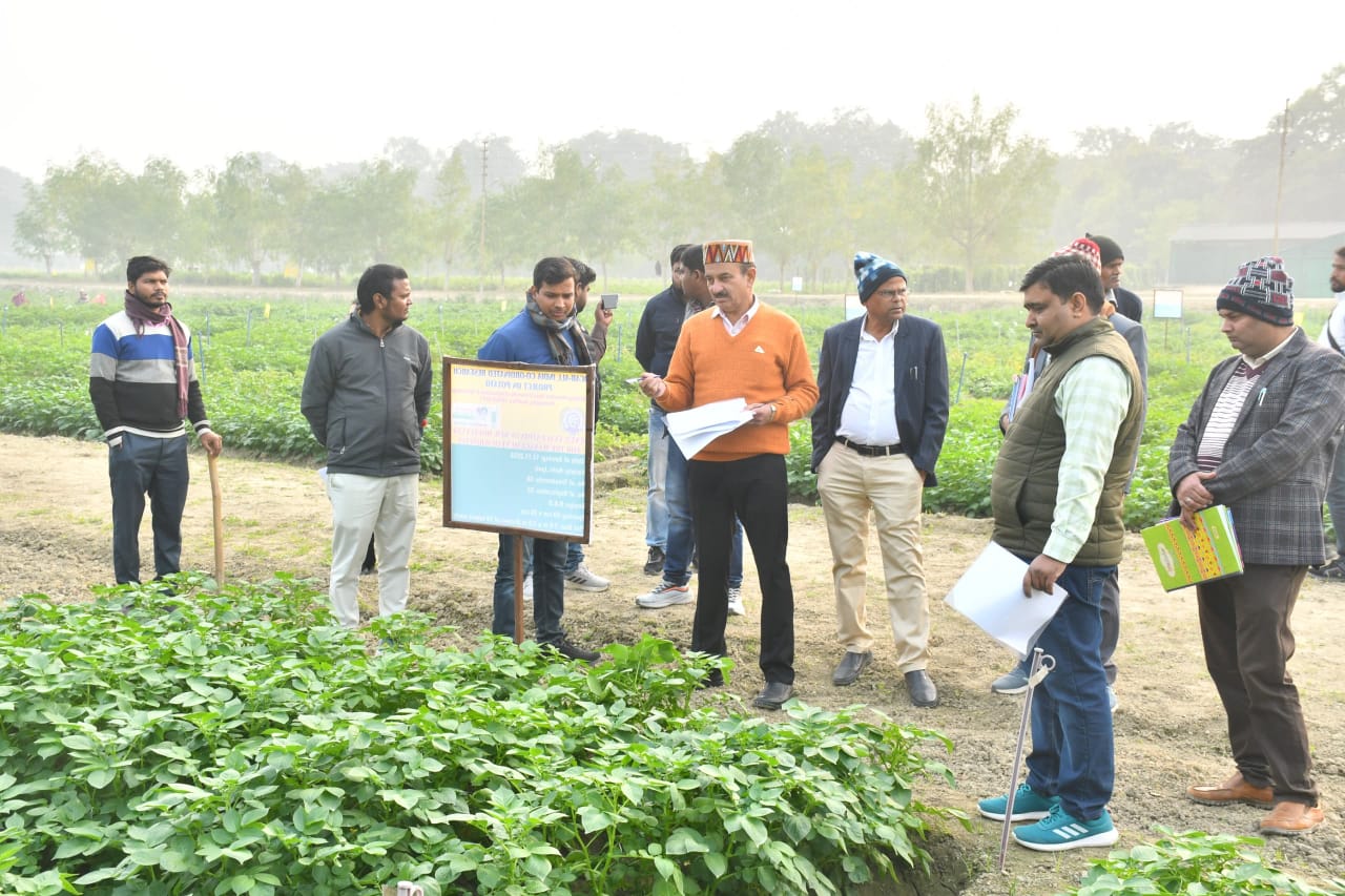 आलू को रोग से बचाने के लिए टेबुकोनाजोल का छिड़काव करें किसान आलू को रोग से बचाने के लिए टेबुकोनाजोल का छिड़काव करें किसान