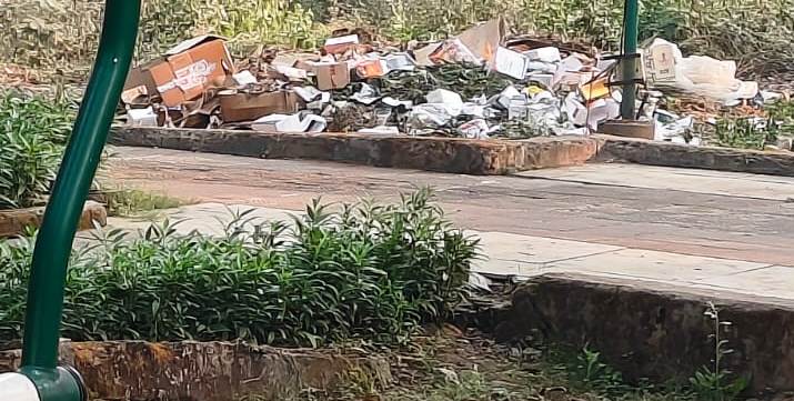 गदंगी करने व उद्यान में कचरा डालने पर निगम ने लगाया अर्थदण्ड गदंगी करने व उद्यान में कचरा डालने पर निगम ने लगाया अर्थदण्ड