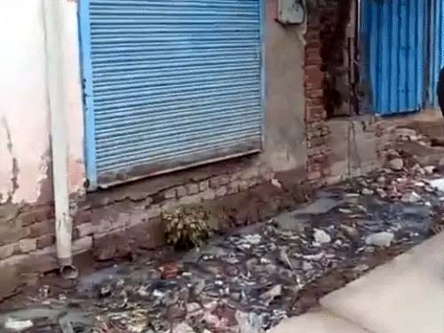 घटना स्थल की तस्वीर