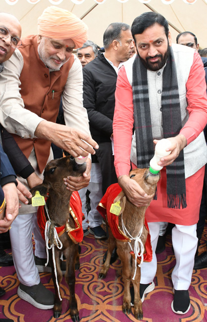 हरियाणा के मुख्यमंत्री नायब सैनी पंचकूला में गाै सेवा सम्मान समाराेह के दाैरान गायाें की सेवा करते हुए हरियाणा के मुख्यमंत्री नायब सैनी पंचकूला में गाै सेवा सम्मान समाराेह के दाैरान गायाें की सेवा करते हुए
