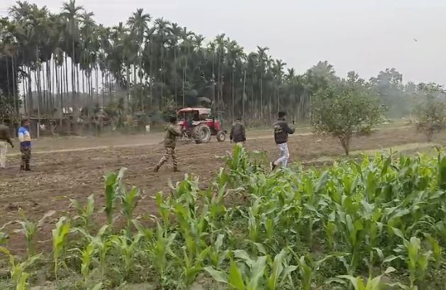 मक्के की खेती की आड़ में पोस्ते की खेती, पुलिस ने किया नष्ट मक्के की खेती की आड़ में पोस्ते की खेती, पुलिस ने किया नष्ट