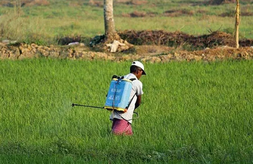 बीकानेर में स्थापित होगा नवीन उद्यानिकी ग्राहय केन्द्र