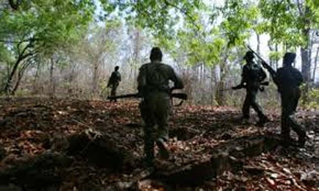 गढ़चिरौली जिले में 10 लाख रुपये की इनामी दो महिला नक्सलियों का आत्मसमर्पण गढ़चिरौली जिले में 10 लाख रुपये की इनामी दो महिला नक्सलियों का आत्मसमर्पण