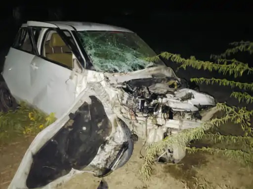 झाड़ियों में घुसी कार।