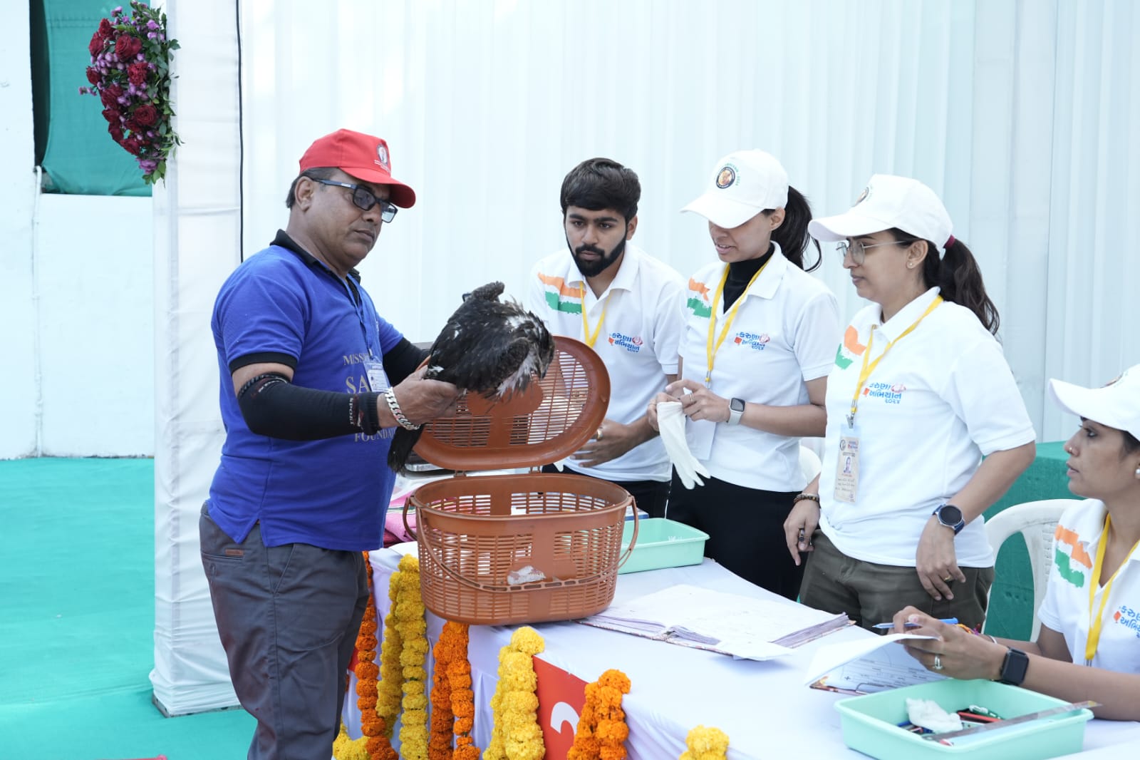 घायल पक्षी का इलाज करते हुए। घायल पक्षी का इलाज करते हुए।