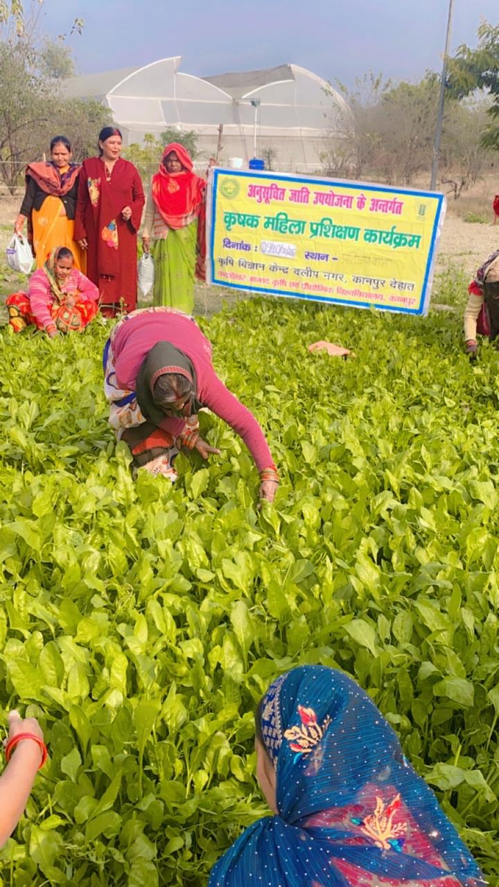 प्रशिक्षण लेती महिलाएं प्रशिक्षण लेती महिलाएं