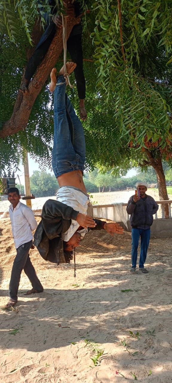 रस्सी के सहारे युवक को नीम के पेड़ से उल्टा लटकाया रस्सी के सहारे युवक को नीम के पेड़ से उल्टा लटकाया