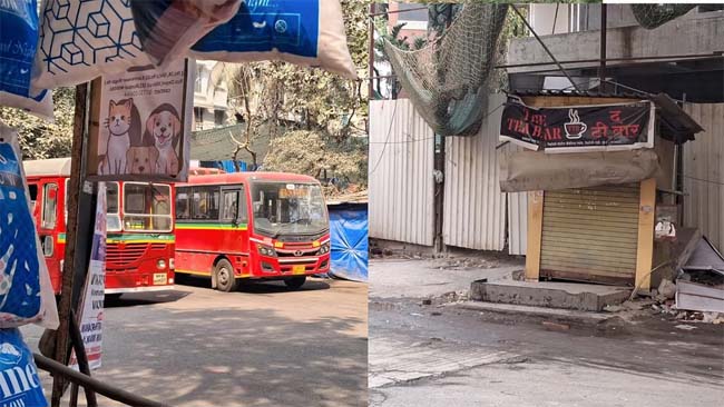 फोटो - बेस्ट बस फोटो - बेस्ट बस