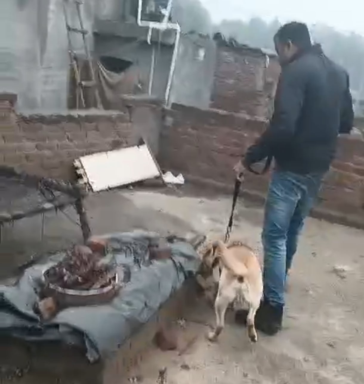 नशा तस्करों के घरों पर छापेमारी कर स्नाइपर डॉग के साथ तलाशी लेते पुलिस कर्मचारी नशा तस्करों के घरों पर छापेमारी कर स्नाइपर डॉग के साथ तलाशी लेते पुलिस कर्मचारी