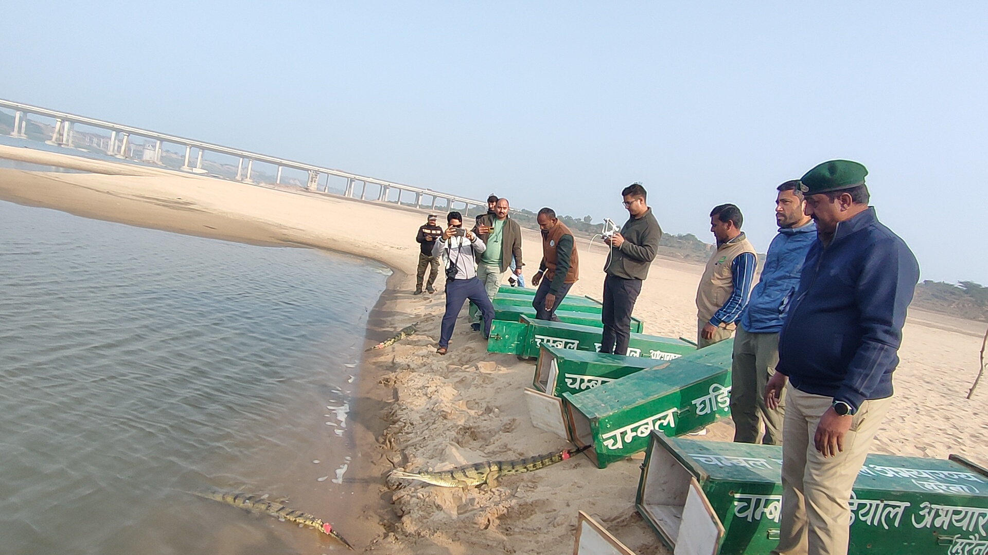 चंबल नदी में घडिय़ाल छोड़ते वन विभाग के अधिकारी चंबल नदी में घडिय़ाल छोड़ते वन विभाग के अधिकारी