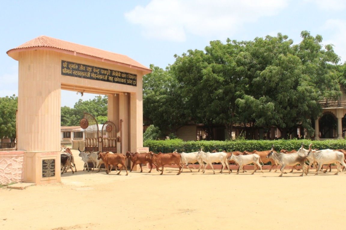 फाइल फाइल