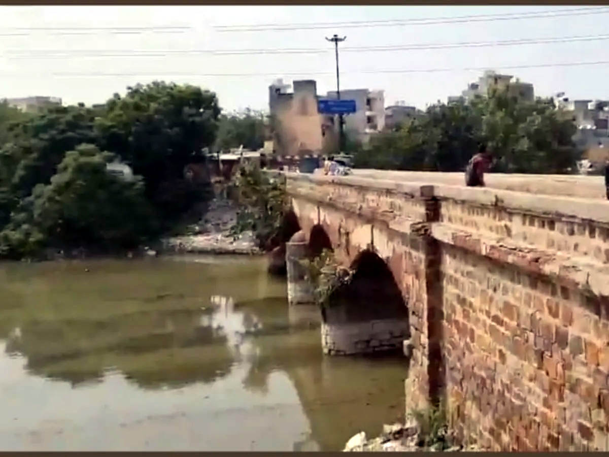 सेक्टर-8 नहर का फाइल फोटो सेक्टर-8 नहर का फाइल फोटो