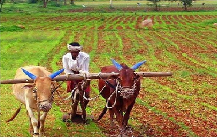 17 जनवरी को होगा अखंड संवाद :गौ आधारित प्राकृतिक खेती की अलख जगाएगा 17 जनवरी को होगा अखंड संवाद :गौ आधारित प्राकृतिक खेती की अलख जगाएगा
