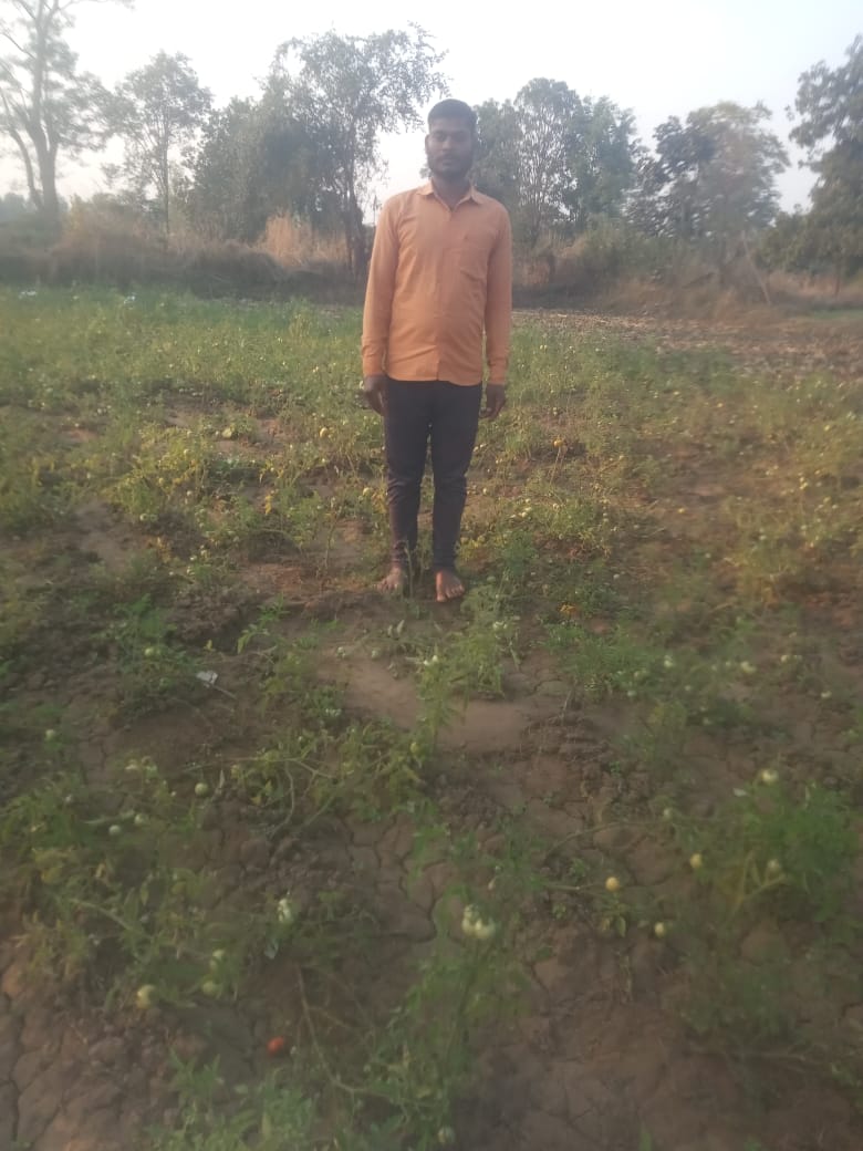 बाघ के हमले से बचा युवक बाघ के हमले से बचा युवक
