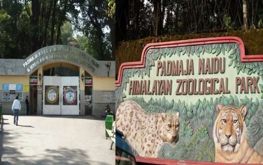 सर्दी में कांप रहे पहाड़, दार्जिलिंग चिड़ियाघर ने जानवरों के लिए की हीटर की व्यवस्था सर्दी में कांप रहे पहाड़, दार्जिलिंग चिड़ियाघर ने जानवरों के लिए की हीटर की व्यवस्था