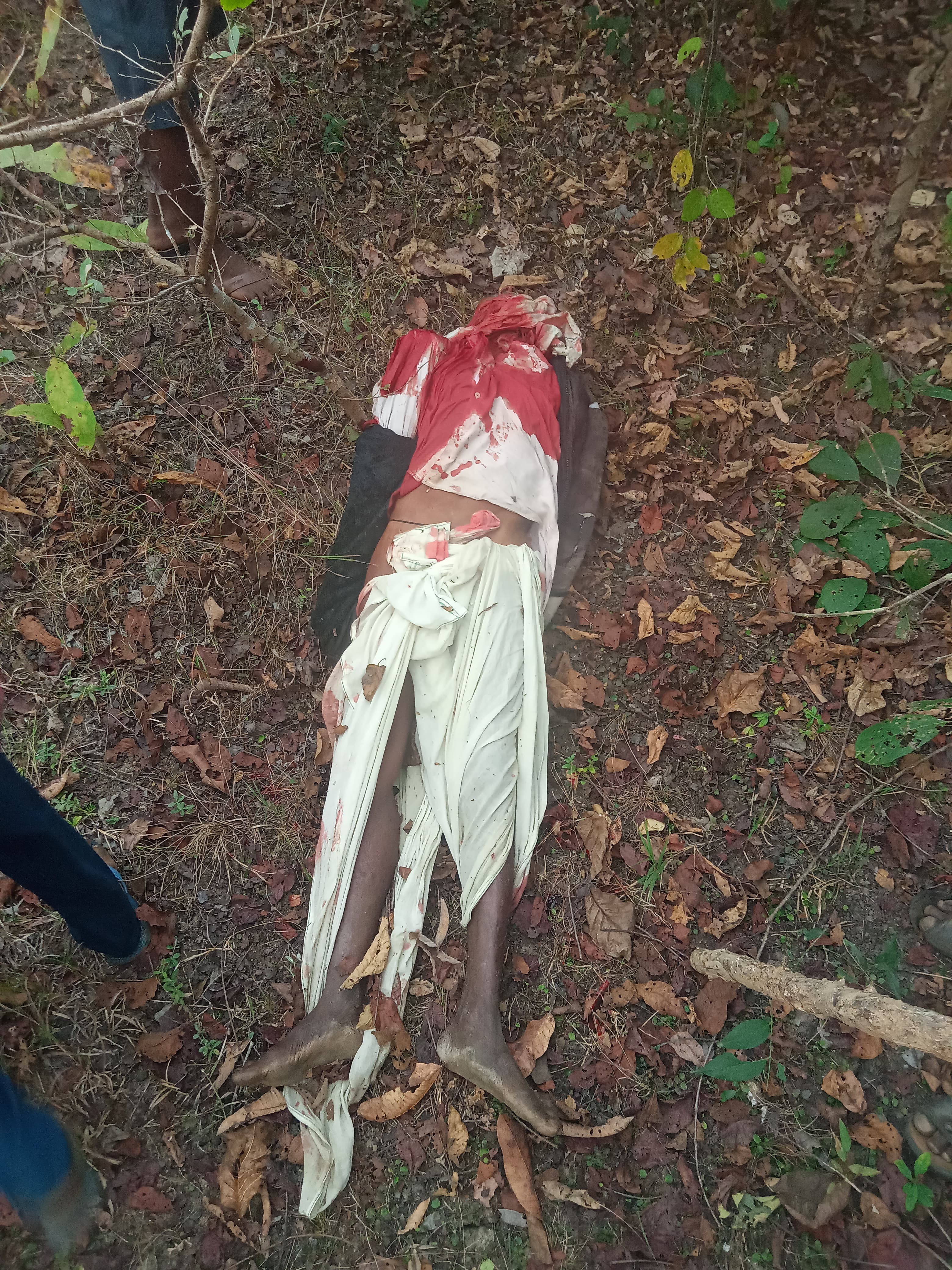Seoni: Shepherd dies due to tiger attack Seoni: Shepherd dies due to tiger attack