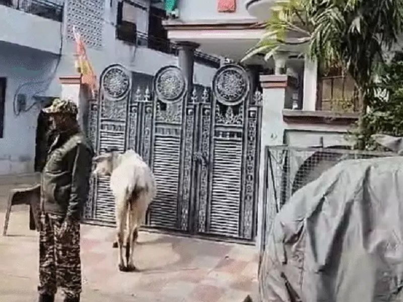 कार्रवाई करती ईडी की टीम कार्रवाई करती ईडी की टीम