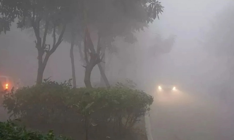 मध्य प्रदेश में शीतलहर मध्य प्रदेश में शीतलहर