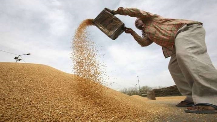 प्रतीकात्मक फोटो प्रतीकात्मक फोटो