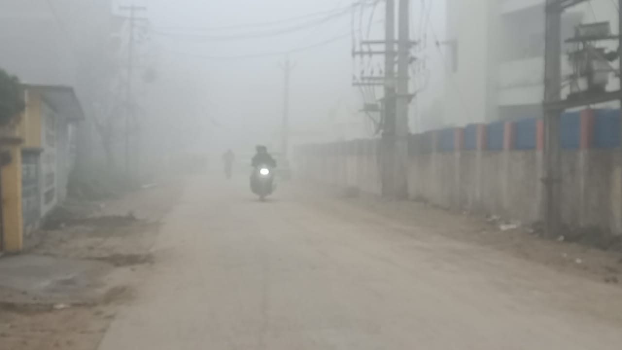 अररिया फोटो:घने कोहरे में शहर अररिया फोटो:घने कोहरे में शहर