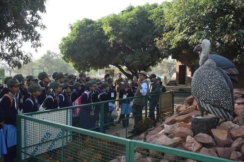वन विहार राष्ट्रीय उद्यान में नेचर कैम्प में आए छात्र-छात्राएं वन विहार राष्ट्रीय उद्यान में नेचर कैम्प में आए छात्र-छात्राएं