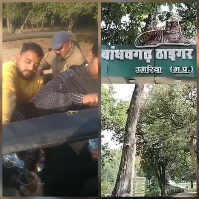 सोशल मीडिया में वायरल हुआ कोर एरिया की सफारी में शराब पार्टी का वीडियो सोशल मीडिया में वायरल हुआ कोर एरिया की सफारी में शराब पार्टी का वीडियो