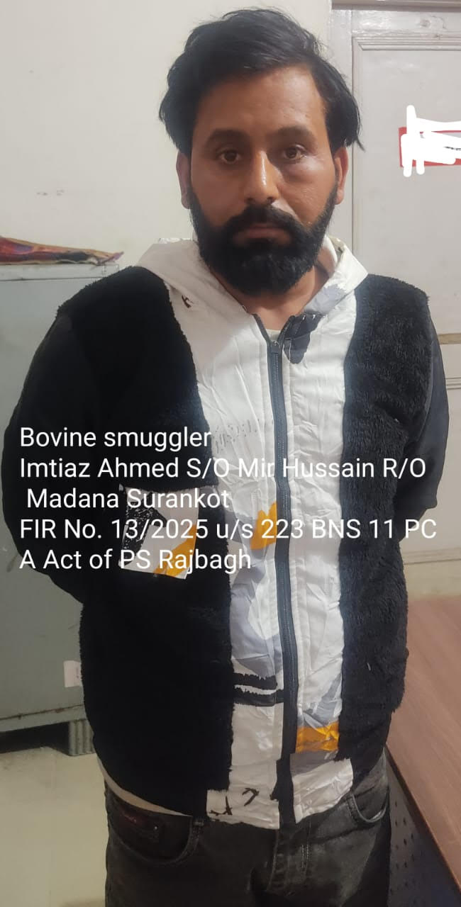 Animal smuggling attempt failed, 17 cattle rescued, 01 arrested Animal smuggling attempt failed, 17 cattle rescued, 01 arrested