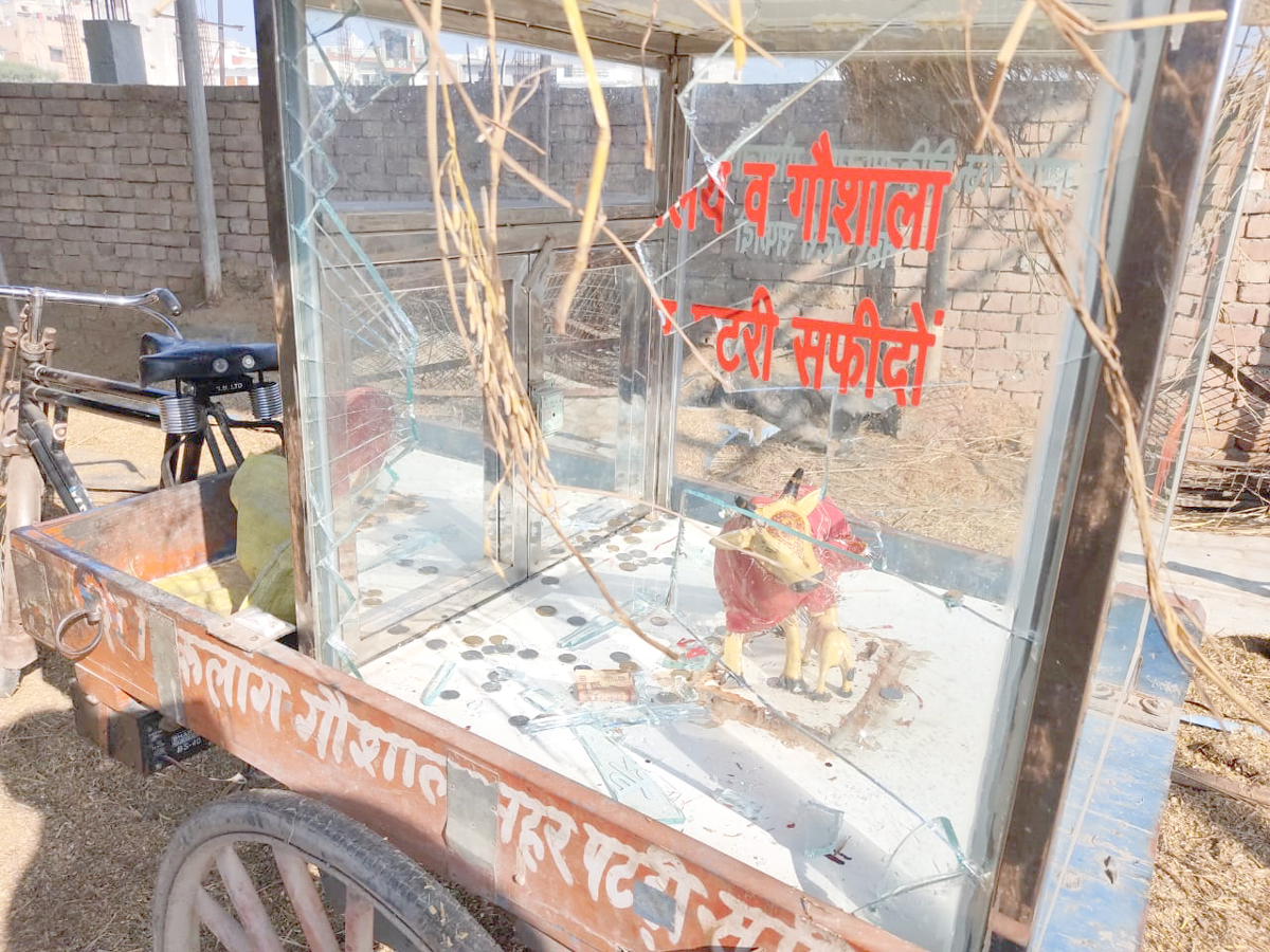 चोरों के द्वारा तोड़ी गई कांच की दानपेटी। चोरों के द्वारा तोड़ी गई कांच की दानपेटी।