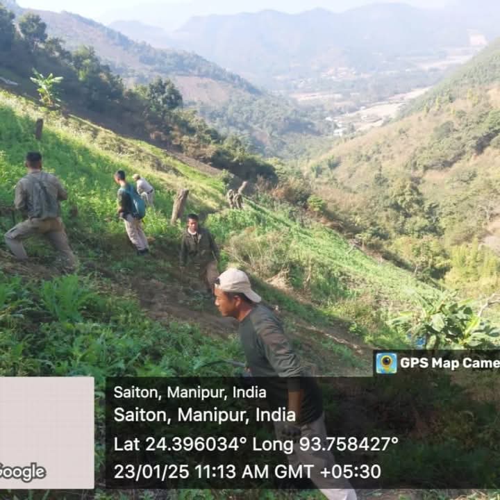 चुराचांदपुर में अवैध अफीम की खेती नष्ट किए जाने की तस्वीर। चुराचांदपुर में अवैध अफीम की खेती नष्ट किए जाने की तस्वीर।