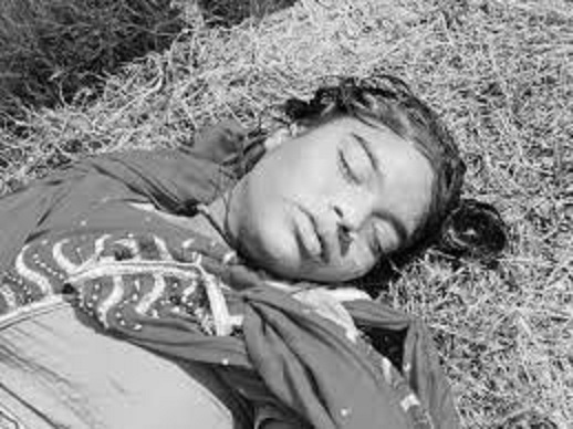 नहर में मिला युवती का शव नहर में मिला युवती का शव